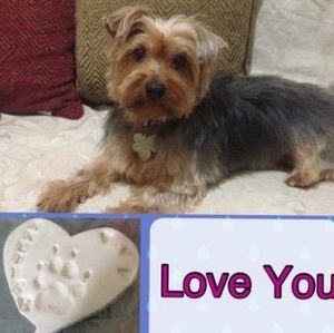 Meet your Posher, Deon